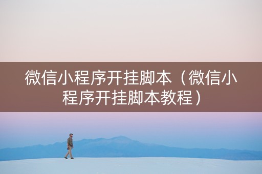 微信小程序开挂脚本（微信小程序开挂脚本教程）