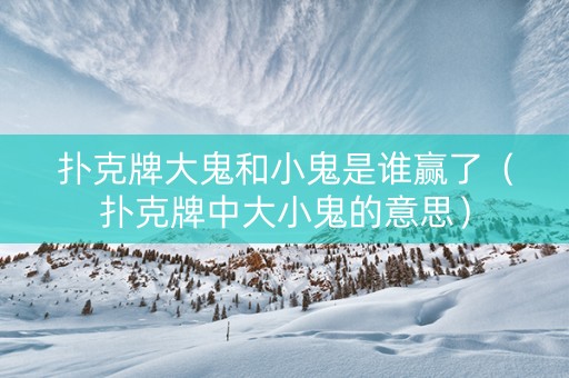 扑克牌大鬼和小鬼是谁赢了（扑克牌中大小鬼的意思）