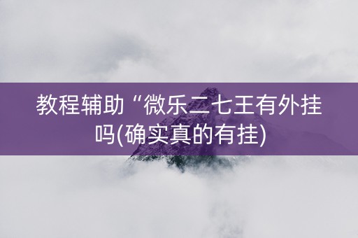教程辅助“微乐二七王有外挂吗(确实真的有挂)