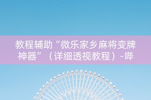 教程辅助“微乐家乡麻将变牌神器”（详细透视教程）-哔哩哔哩