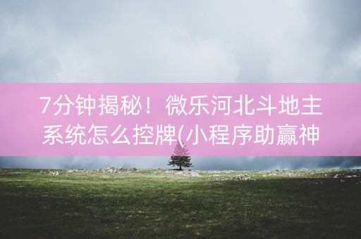 7分钟揭秘！微乐河北斗地主系统怎么控牌(小程序助赢神器)