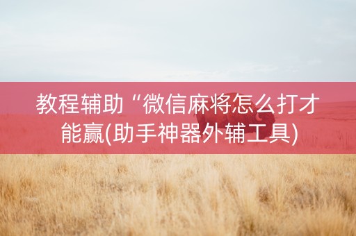 教程辅助“微信麻将怎么打才能赢(助手神器外辅工具)
