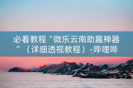必看教程“微乐云南助赢神器”（详细透视教程）-哔哩哔哩