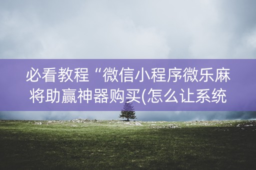 必看教程“微信小程序微乐麻将助赢神器购买(怎么让系统给发好牌)