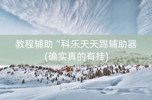 教程辅助“科乐天天踢辅助器(确实真的有挂)