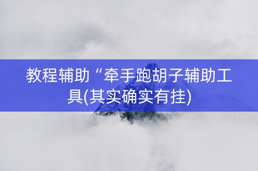 教程辅助“牵手跑胡子辅助工具(其实确实有挂)