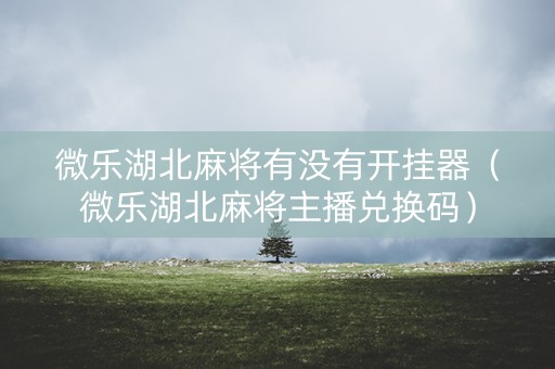 微乐湖北麻将有没有开挂器（微乐湖北麻将主播兑换码）