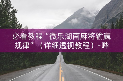 必看教程“微乐湖南麻将输赢规律”（详细透视教程）-哔哩哔哩