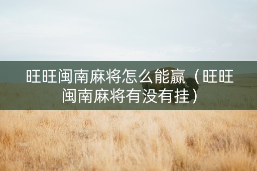旺旺闽南麻将怎么能赢（旺旺闽南麻将有没有挂）