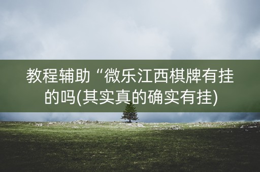 教程辅助“微乐江西棋牌有挂的吗(其实真的确实有挂)