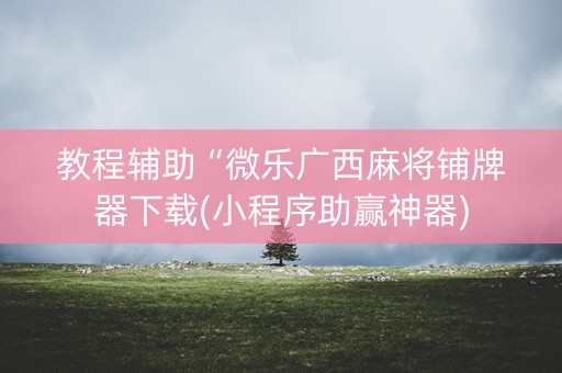 教程辅助“微乐广西麻将铺牌器下载(小程序助赢神器)