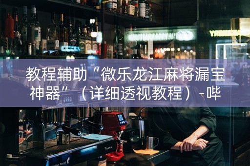 教程辅助“微乐龙江麻将漏宝神器”（详细透视教程）-哔哩哔哩