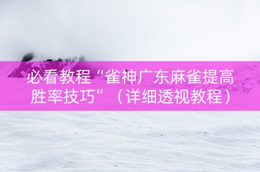 必看教程“雀神广东麻雀提高胜率技巧”（详细透视教程）-哔哩哔哩