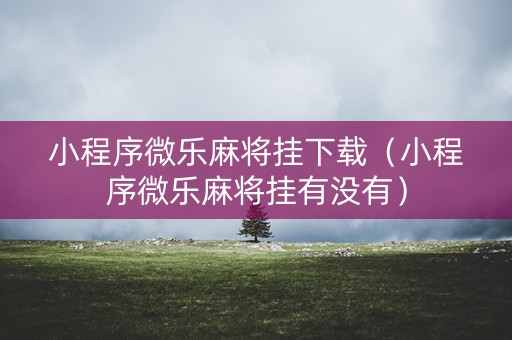 小程序微乐麻将挂下载（小程序微乐麻将挂有没有）