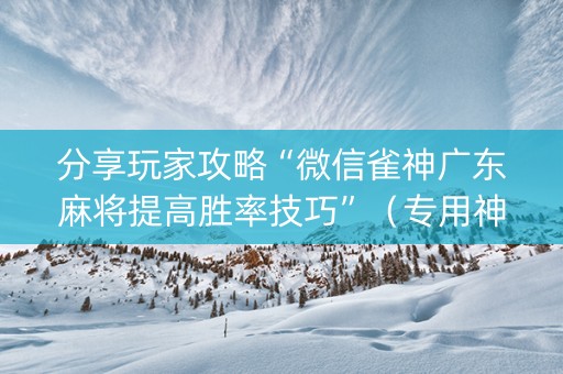 分享玩家攻略“微信雀神广东麻将提高胜率技巧”（专用神器)
