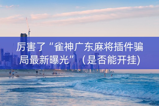 厉害了“雀神广东麻将插件骗局最新曝光”（是否能开挂)