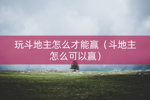 玩斗地主怎么才能赢（斗地主怎么可以赢）