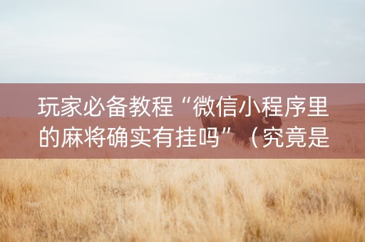 玩家必备教程“微信小程序里的麻将确实有挂吗”（究竟是不是有挂)