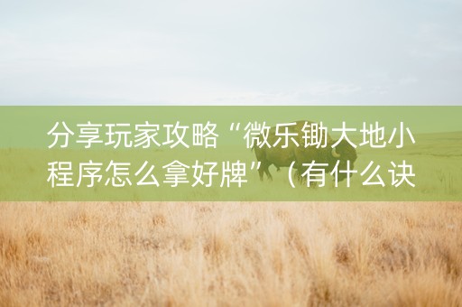 分享玩家攻略“微乐锄大地小程序怎么拿好牌”（有什么诀窍)