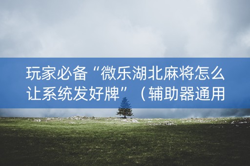 玩家必备“微乐湖北麻将怎么让系统发好牌”（辅助器通用版)