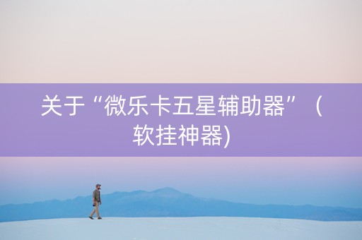 关于“微乐卡五星辅助器”（软挂神器)