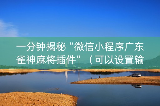 一分钟揭秘“微信小程序广东雀神麻将插件”（可以设置输赢吗)