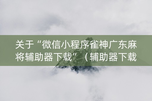 关于“微信小程序雀神广东麻将辅助器下载”（辅助器下载)