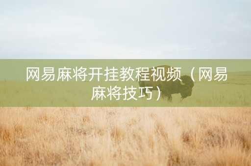 网易麻将开挂教程视频（网易麻将技巧）