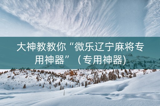大神教教你“微乐辽宁麻将专用神器”（专用神器)