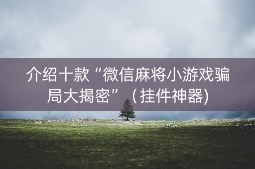 介绍十款“微信麻将小游戏骗局大揭密”（挂件神器)