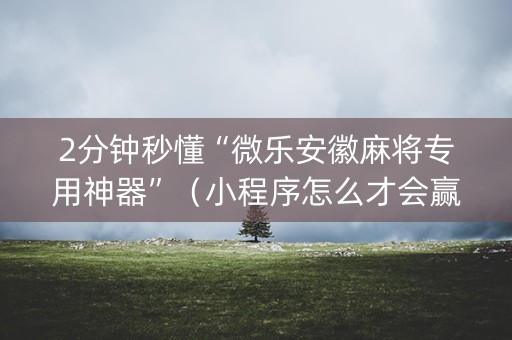 2分钟秒懂“微乐安徽麻将专用神器”（小程序怎么才会赢)