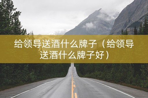 给领导送酒什么牌子（给领导送酒什么牌子好）