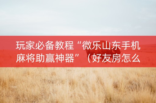 玩家必备教程“微乐山东手机麻将助赢神器”（好友房怎么才能赢)