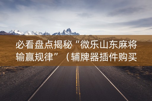 必看盘点揭秘“微乐山东麻将输赢规律”（辅牌器插件购买)