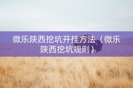 微乐陕西挖坑开挂方法（微乐陕西挖坑规则）