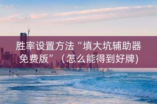 胜率设置方法“填大坑辅助器免费版”（怎么能得到好牌)