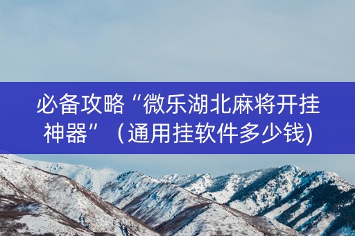 必备攻略“微乐湖北麻将开挂神器”（通用挂软件多少钱)