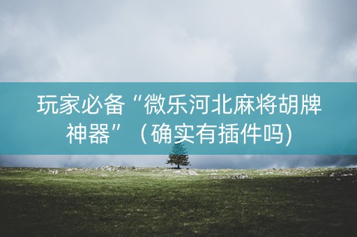 玩家必备“微乐河北麻将胡牌神器”（确实有插件吗)