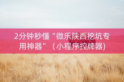 2分钟秒懂“微乐陕西挖坑专用神器”（小程序控牌器)