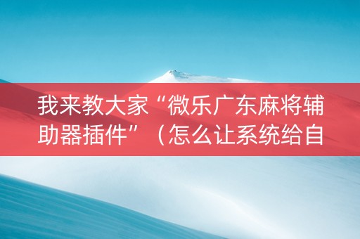 我来教大家“微乐广东麻将辅助器插件”（怎么让系统给自己好牌)