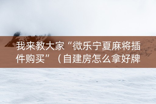 我来教大家“微乐宁夏麻将插件购买”（自建房怎么拿好牌)
