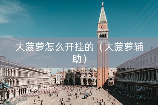 大菠萝怎么开挂的（大菠萝辅助）