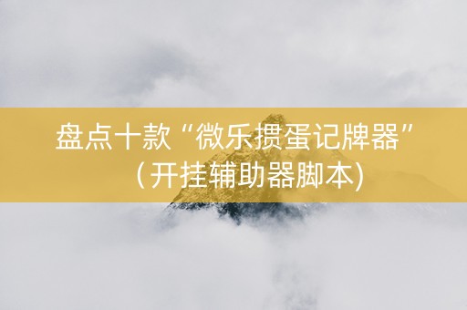 盘点十款“微乐掼蛋记牌器”（开挂辅助器脚本)