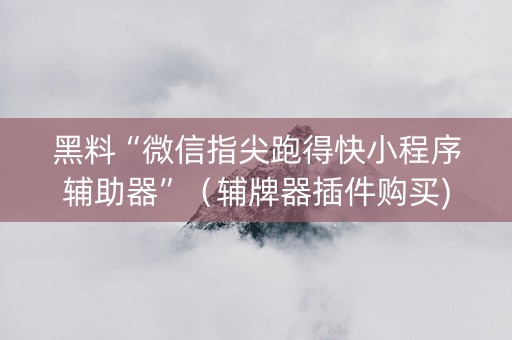 黑料“微信指尖跑得快小程序辅助器”（辅牌器插件购买)