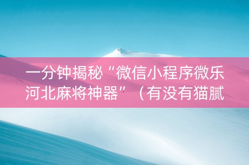 一分钟揭秘“微信小程序微乐河北麻将神器”（有没有猫腻)