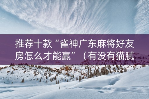 推荐十款“雀神广东麻将好友房怎么才能赢”（有没有猫腻)