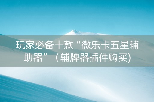 玩家必备十款“微乐卡五星辅助器”（辅牌器插件购买)