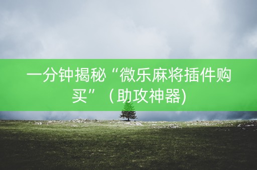 一分钟揭秘“微乐麻将插件购买”（助攻神器)