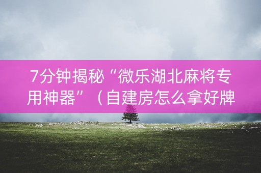 7分钟揭秘“微乐湖北麻将专用神器”（自建房怎么拿好牌)
