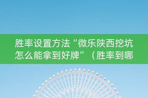 胜率设置方法“微乐陕西挖坑怎么能拿到好牌”（胜率到哪调)